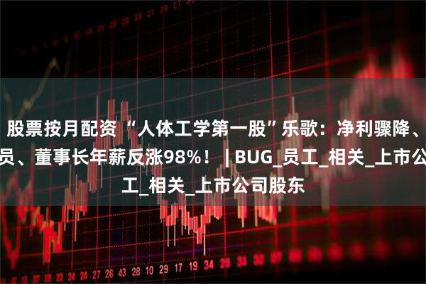 股票按月配资 “人体工学第一股”乐歌：净利骤降、启动裁员、董事长年薪反涨98%！ | BUG_员工_相关_上市公司股东