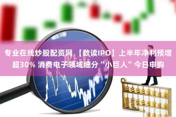 专业在线炒股配资网 【数读IPO】上半年净利预增超30% 消费电子领域细分“小巨人”今日申购